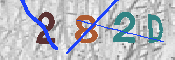 キャプチャ画像