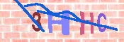 キャプチャ画像