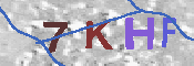 キャプチャ画像