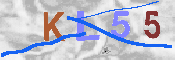 キャプチャ画像