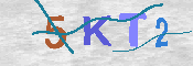キャプチャ画像