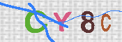 キャプチャ画像
