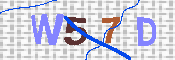 キャプチャ画像