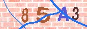 キャプチャ画像