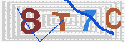 キャプチャ画像