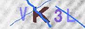 キャプチャ画像