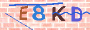 キャプチャ画像