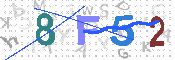 キャプチャ画像