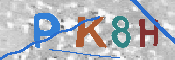 キャプチャ画像