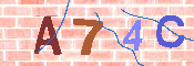 キャプチャ画像