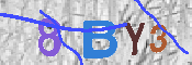 キャプチャ画像