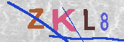 キャプチャ画像