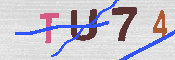 キャプチャ画像