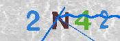 キャプチャ画像