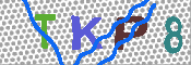 キャプチャ画像
