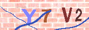 キャプチャ画像
