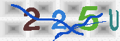 キャプチャ画像