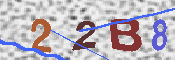 キャプチャ画像
