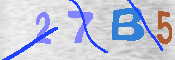 キャプチャ画像