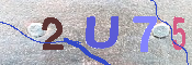 キャプチャ画像