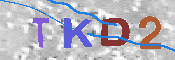 キャプチャ画像