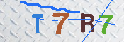 キャプチャ画像