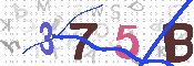 キャプチャ画像