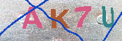 キャプチャ画像