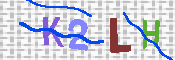 キャプチャ画像