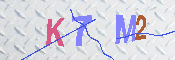 キャプチャ画像