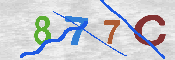 キャプチャ画像