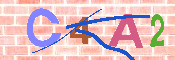 キャプチャ画像