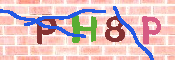 キャプチャ画像
