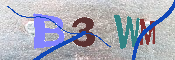 キャプチャ画像