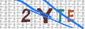 キャプチャ画像