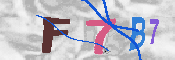 キャプチャ画像