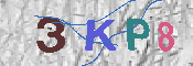 キャプチャ画像