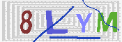 キャプチャ画像