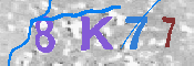 キャプチャ画像