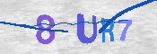 キャプチャ画像