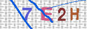 キャプチャ画像