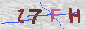 キャプチャ画像