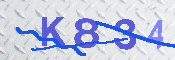 キャプチャ画像