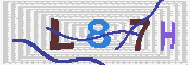 キャプチャ画像