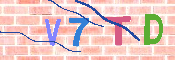 キャプチャ画像