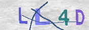 キャプチャ画像