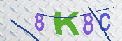 キャプチャ画像