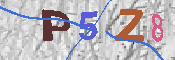 キャプチャ画像
