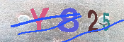 キャプチャ画像
