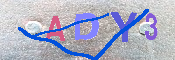 キャプチャ画像